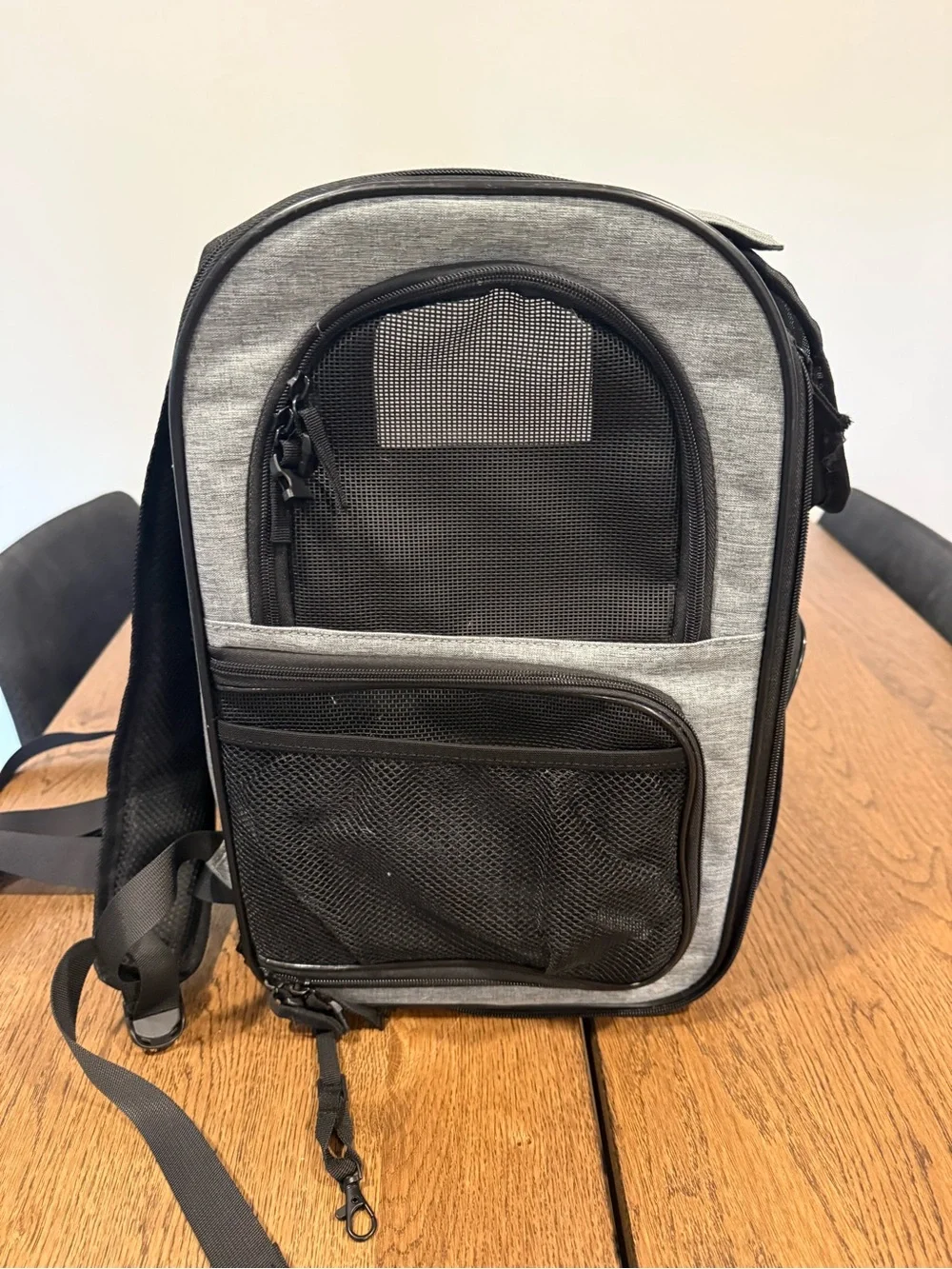 Cat Backpack